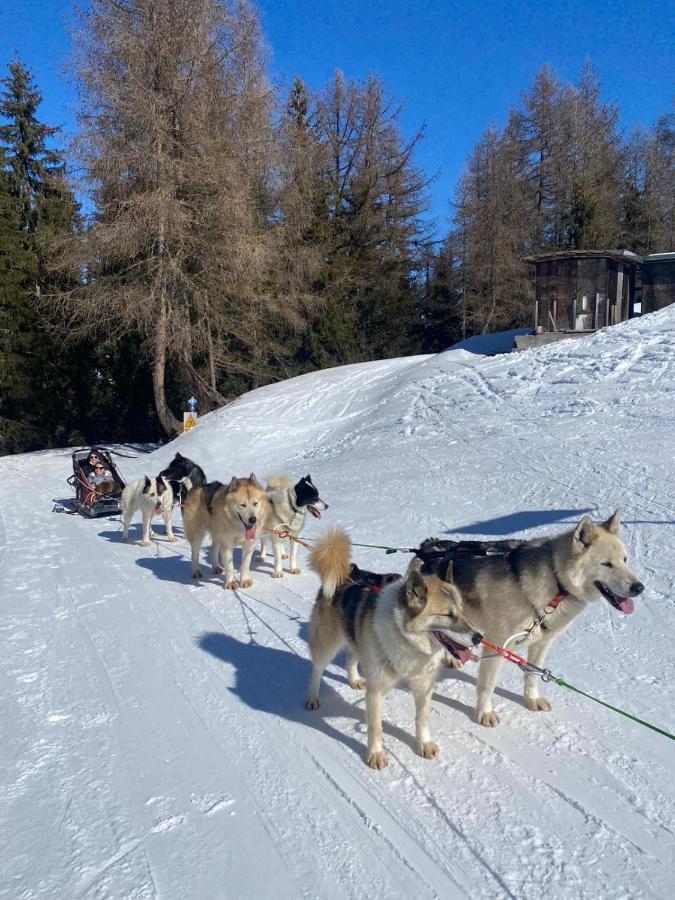 Plagne Bellecote - 5 Pers - Vue Pistes - Acces Piscine Chauffee Apartment Ла План Екстериор снимка